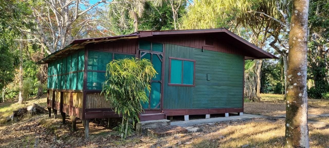 Hotel Veragua River House Sierpe Exterior photo