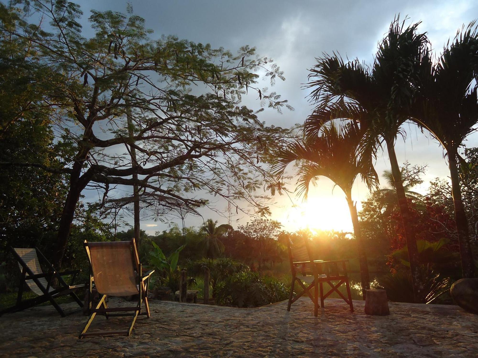 Hotel Veragua River House Sierpe Exterior photo