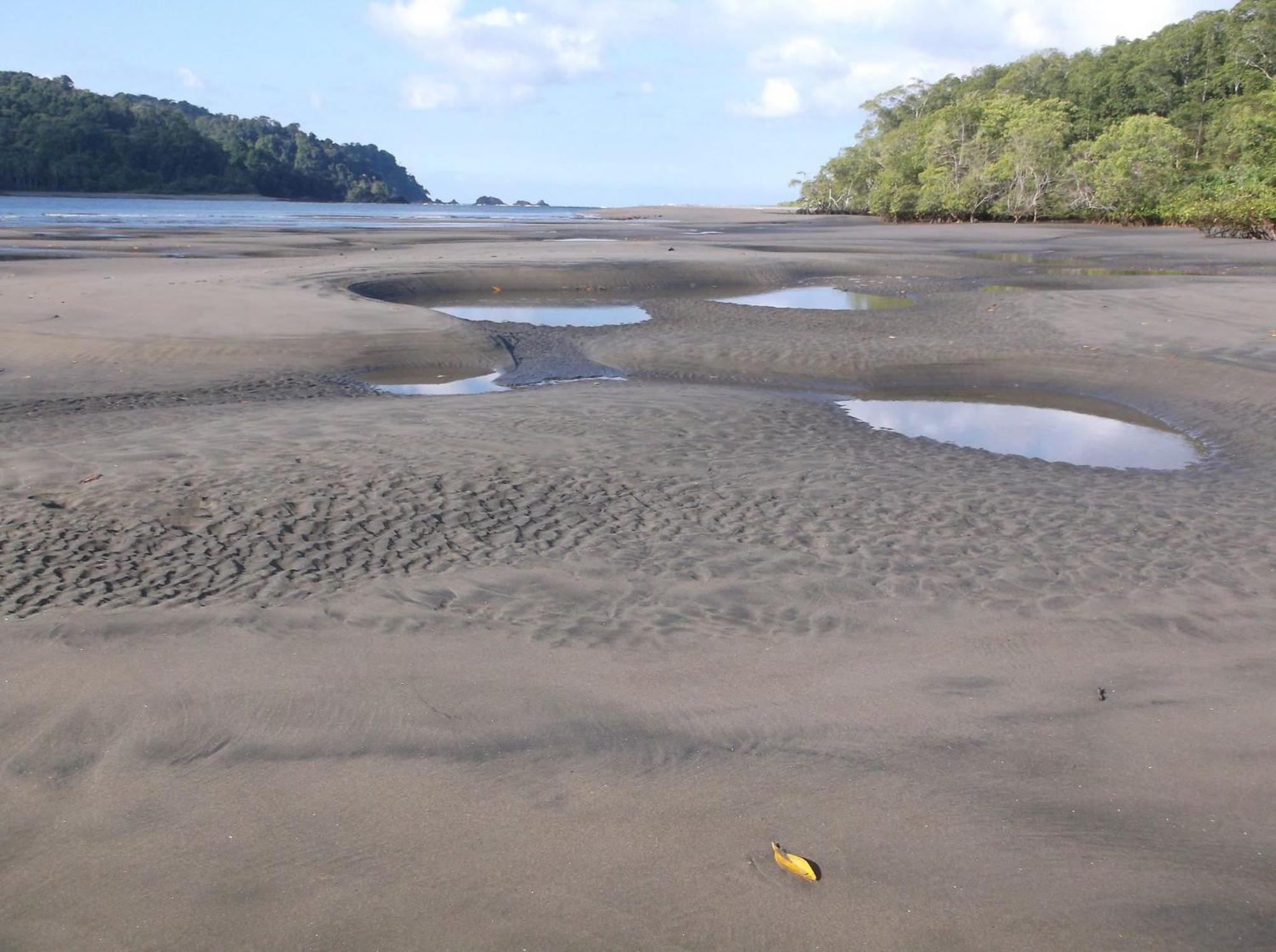 Hotel Veragua River House Sierpe Exterior photo
