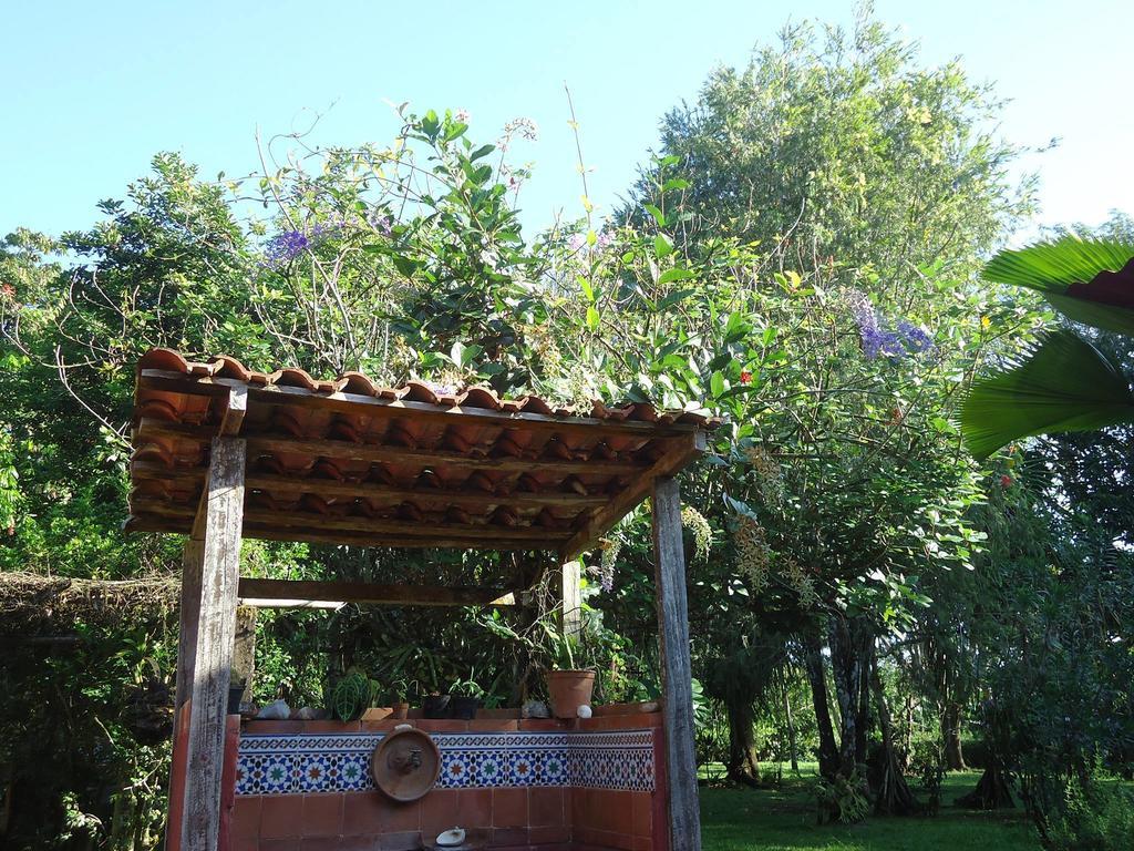 Hotel Veragua River House Sierpe Exterior photo