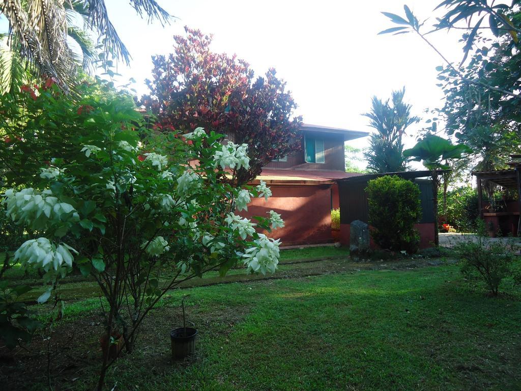Hotel Veragua River House Sierpe Exterior photo