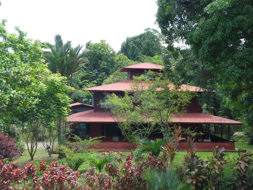 Hotel Veragua River House Sierpe Exterior photo