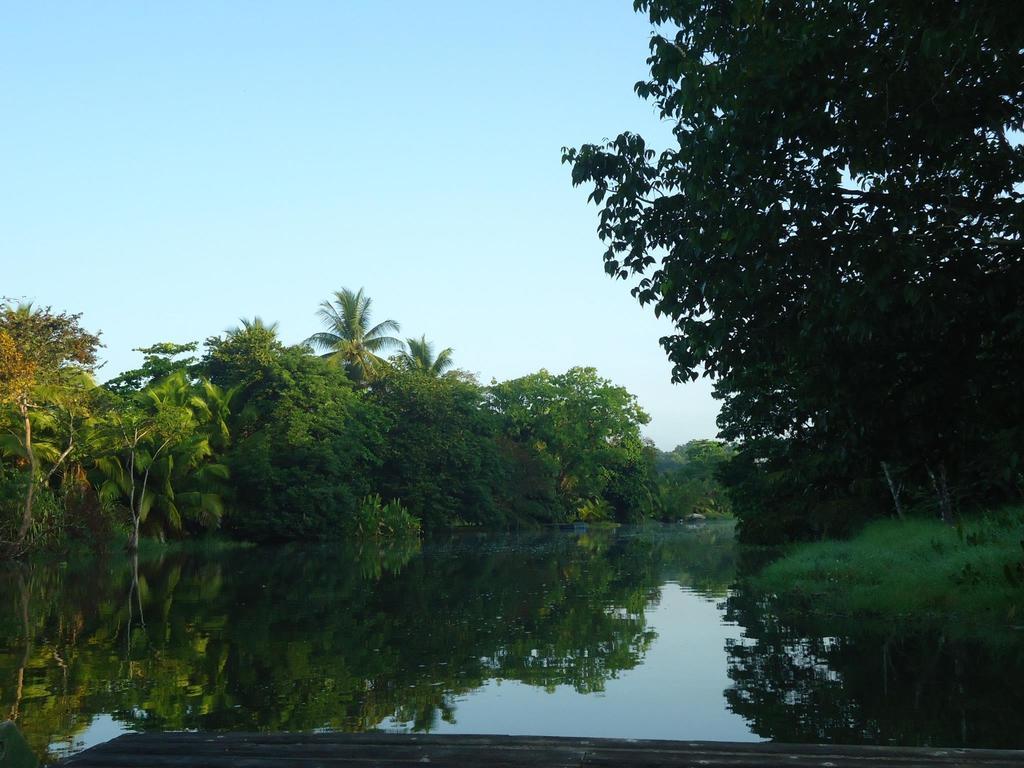 Hotel Veragua River House Sierpe Exterior photo